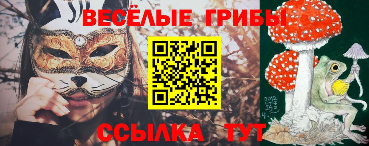 Галлюциногенные грибы GOLDEN TEACHER Тула