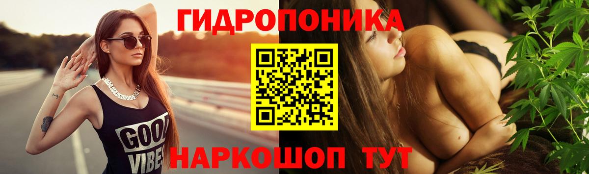 Шишки марихуана семена  Вход с VPN  Тула  Каннабис Bruce Banner  Бошки марихуана план 